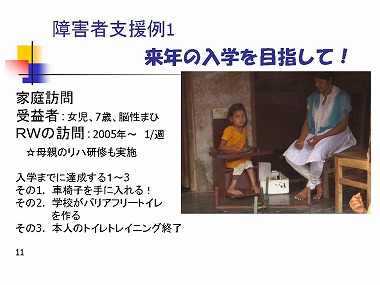 �X���C�h11