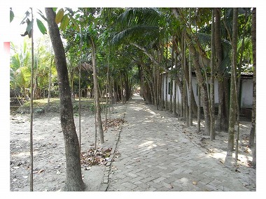 �X���C�h19