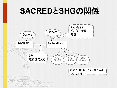 �X���C�h19