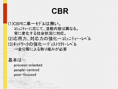 �X���C�h25