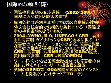 �X���C�h11